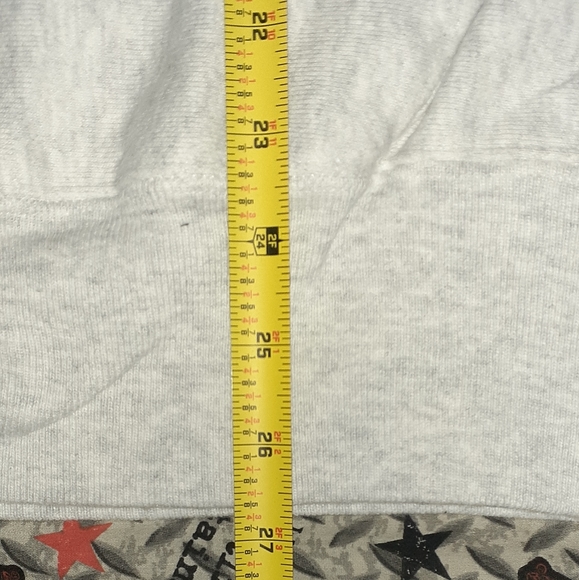 Champion Reverse Weave Florida Southern Moccasins Hoodie Hooded Sweatshirt - Picture 3 of 4